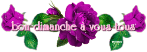 Gif animé Bon dimanche à vous tous